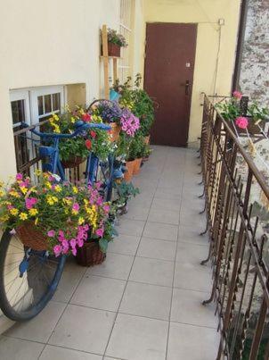 Miodowa Apartment Krakow Exterior photo
